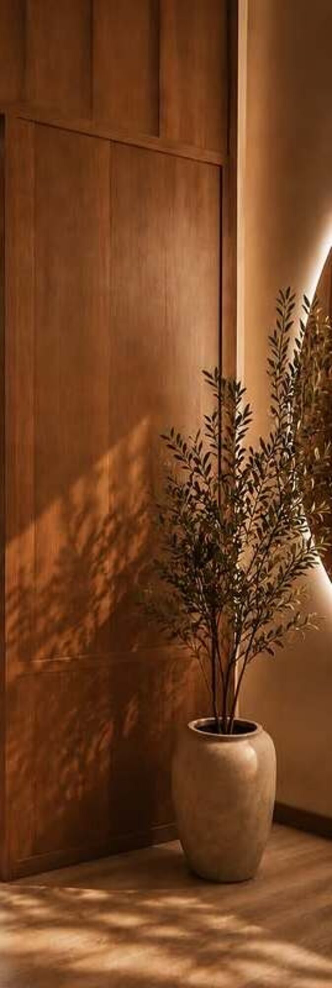 Entrada de madera cálida de la clínica, con luz natural
